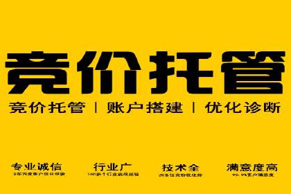 SEM托管优化案例：实现低成本高回报的广告投放
